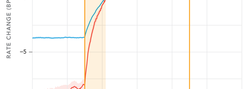 wmr-one-year-later